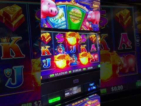 plus grand Oxibet Casino jeu sécurisé promotion