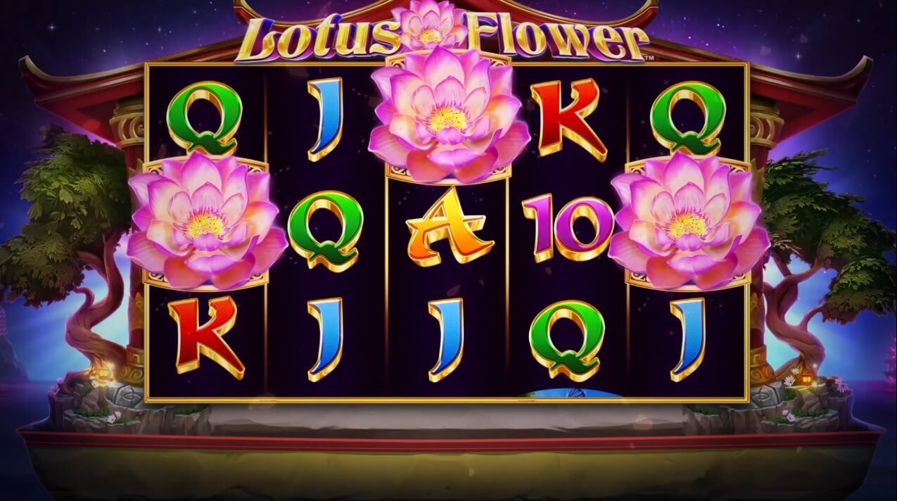 Lotus Flower Slot Free Demo Play or for Real Money