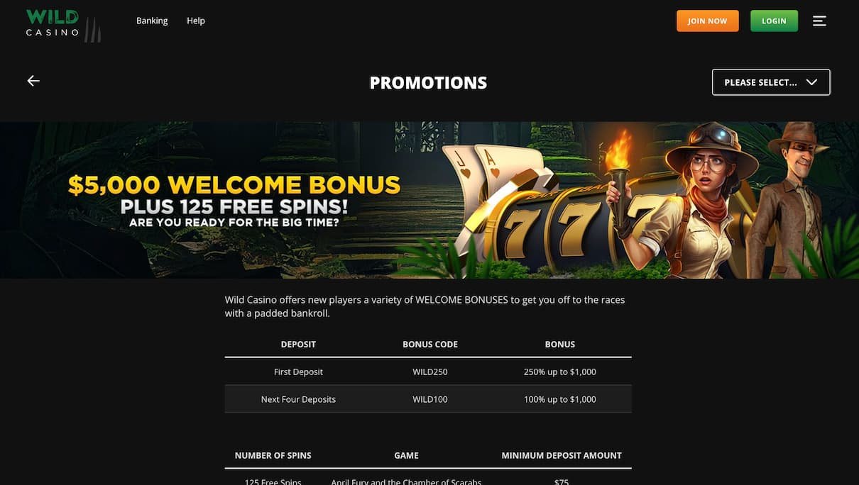beste online casino