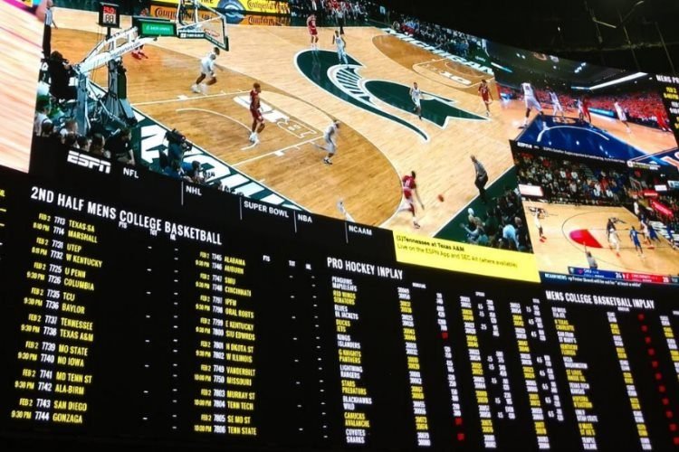 betway sport betting