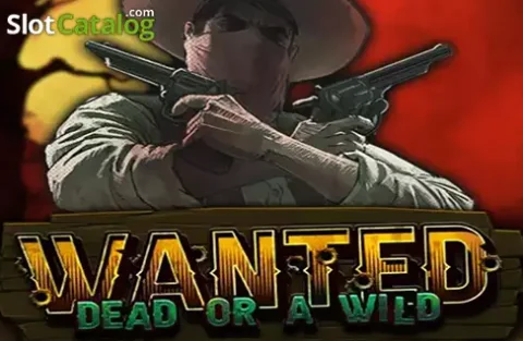 Customer support at Bdvegas casino